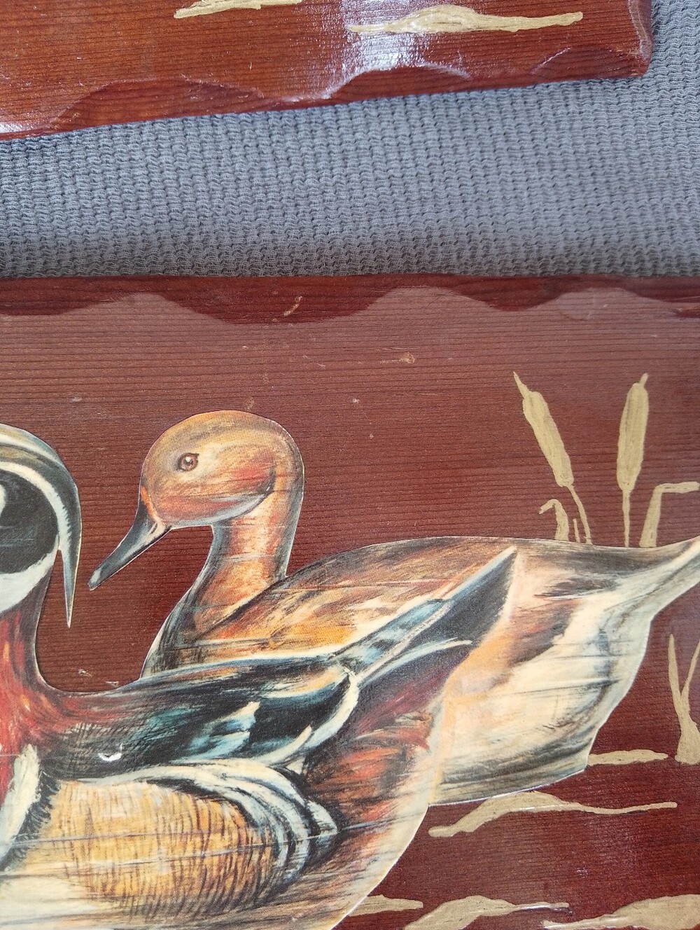 Duck Pictures - Picture 5 of 7